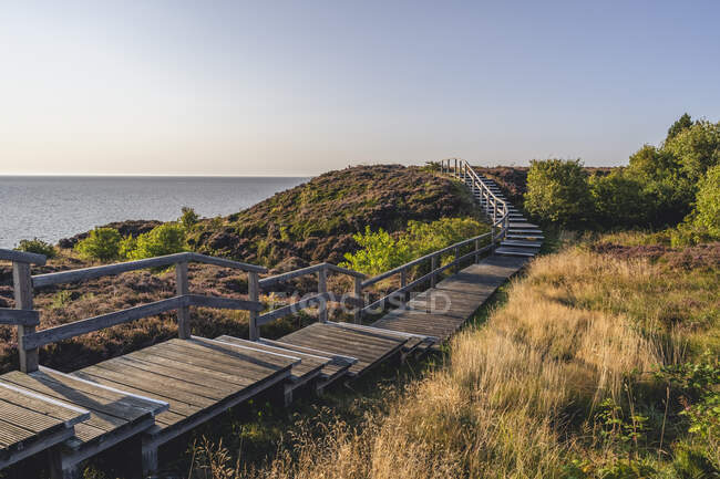 Empty boardwalk in Braderuper Heide nature reserve — Stock Photo