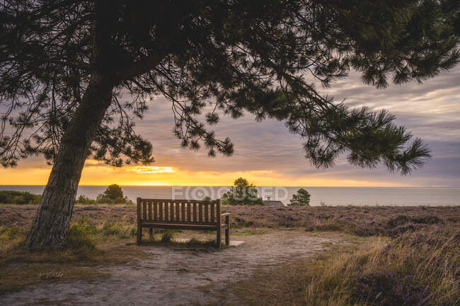 Пустая скамейка с видом на Ваттовое море в резерве Брадерупер Хайде на закате — стоковое фото