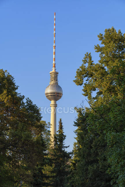 Germania, Berlino, Berlino Torre della Televisione con alberi in primo piano — Foto stock
