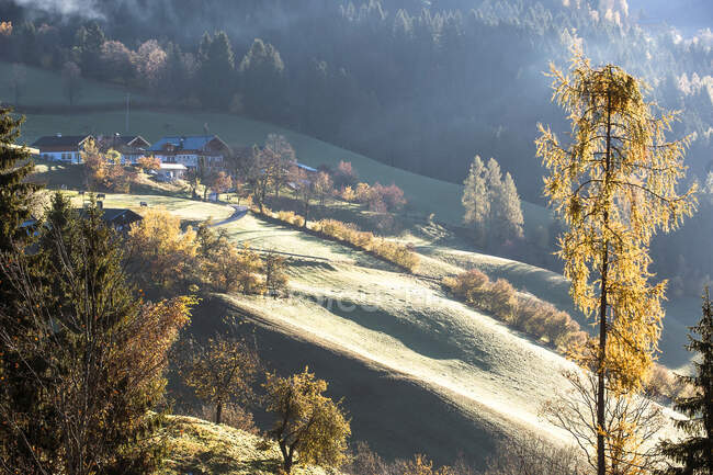Австрия, Мбаппе, Фелипе Понсе, Край горного городка на осень — стоковое фото