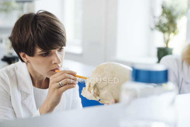 Ученый изучает человеческий череп на рабочем месте — стоковое фото