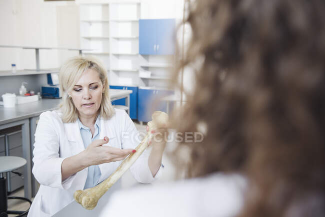 Scientist sharing expertise of anatomical model with colleague in laboratory — Stock Photo