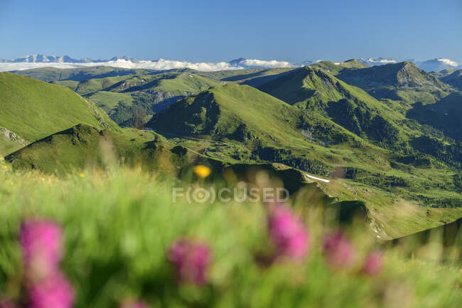 Montagnes vertes en Carinthie, Autriche — Photo de stock