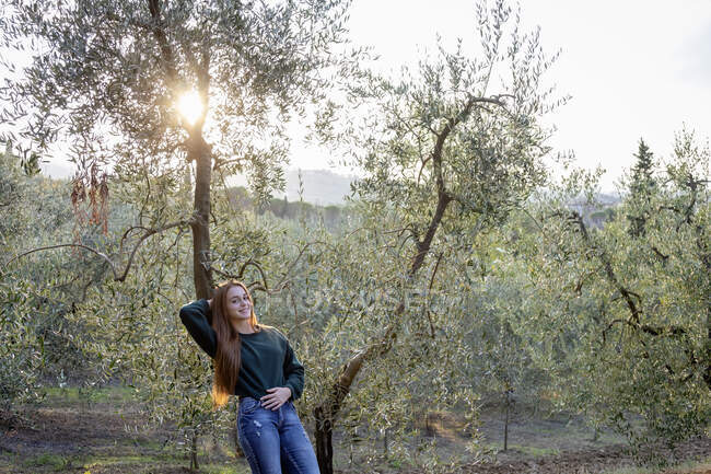 Mulher sorridente apoiada na oliveira ao pôr do sol — Fotografia de Stock