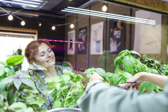 Femme souriante regardant des plantes en serre au restaurant — Photo de stock