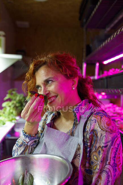 Glückliche Inhaberin riecht Blätter in Restaurant — Stockfoto