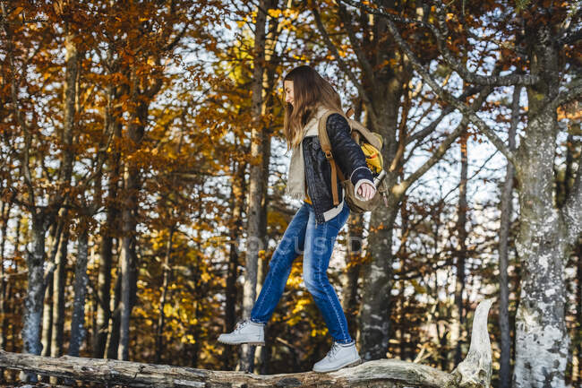 Young woman balancing on a tree trunk in autumn forest — Stock Photo