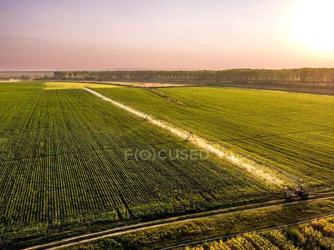 Vista aérea de aspersores agrícolas que irrigam vasto campo de soja ao nascer do sol — Fotografia de Stock