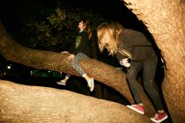 Mulheres se divertindo em grandes galhos de árvores — Fotografia de Stock