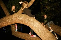 Женщины веселятся на больших ветвях деревьев — стоковое фото