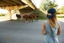 Frau beobachtet Pferde auf Landstraße — Stockfoto