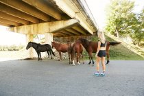 Femme regardant les chevaux sur la route de campagne — Photo de stock