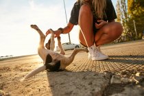 Donna che gioca con cucciolo — Foto stock