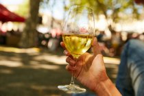 Abgeschnittenes Bild einer Frau mit Glas Weißwein im Park — Stockfoto
