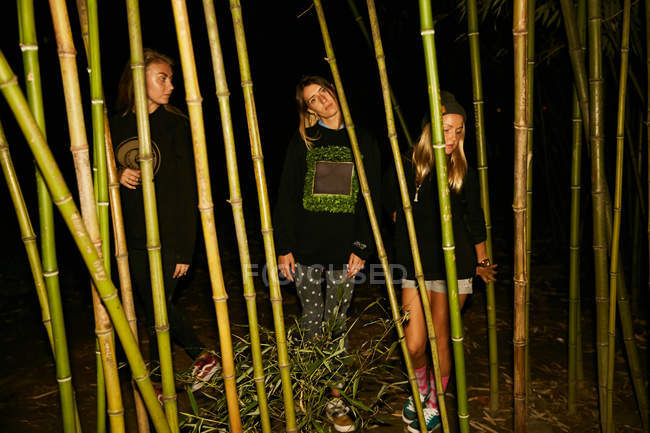 Frauen posieren mit Bambuszweigen — Stockfoto