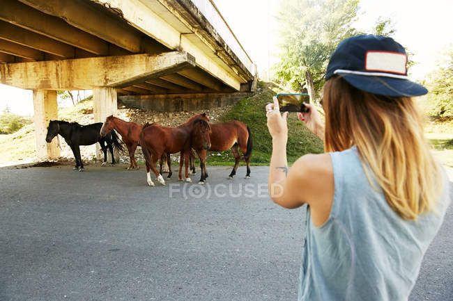 Mulher tirando foto de cavalo — Fotografia de Stock