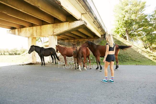 Mulher assistindo cavalos na estrada rural — Fotografia de Stock