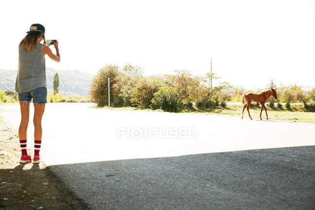 Femme prenant une photo de cheval — Photo de stock