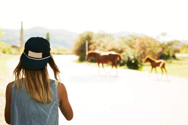 Donna che guarda i cavalli sulla strada di campagna — Foto stock