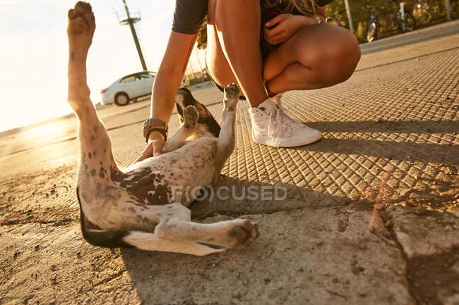 Woman playing with puppy — Stock Photo