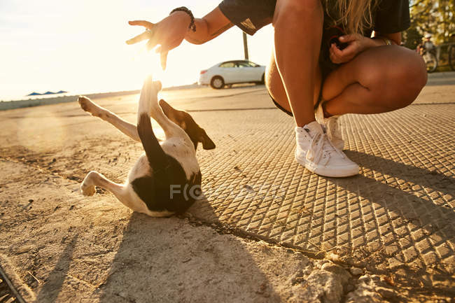 Женщина играет с щенком — стоковое фото