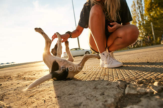 Mujer jugando con cachorro - foto de stock