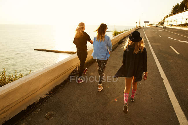 Друзья, гуляющие у моря — стоковое фото