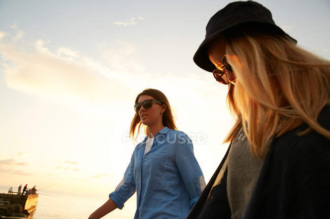 Amigos caminhando à beira-mar — Fotografia de Stock