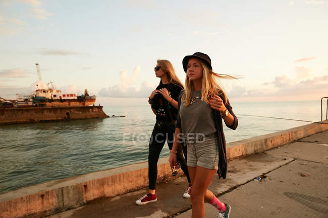 Amigos caminando en primera línea de mar - foto de stock
