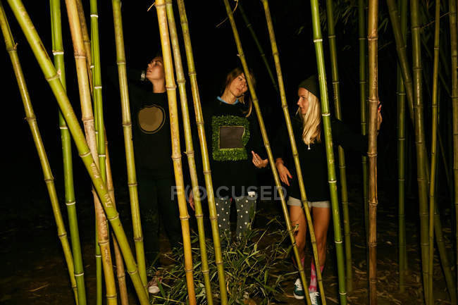 Women posing with bamboo branches — Stock Photo