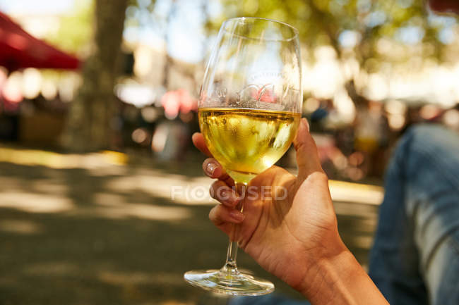 Обрезанное изображение женщины с бокалом белого вина в парке — стоковое фото