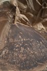 Petroglyphs at Newspaper Rock State Historic Monument — Stock Photo