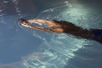 African american Man swimming in pool — Stock Photo
