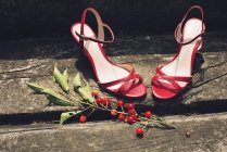 High heel dress shoes — Stock Photo