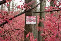 No trespassing sign posted on tree trunk — Stock Photo