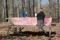 Visão traseira do menino sentado na mesa de piquenique na floresta — Fotografia de Stock