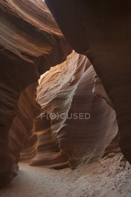 Murs de grès tourbillonnés dans le canyon de serpent à sonnette — Photo de stock