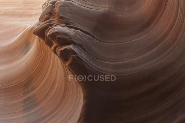 Verwirbelte Muster auf Sandstein — Stockfoto