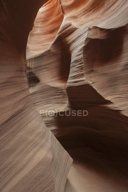Murs de grès tourbillonnés dans le canyon de serpent à sonnette — Photo de stock