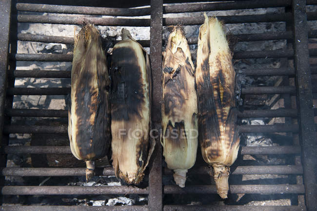 Primer plano de asar mazorcas de maíz fresco en la parrilla de la barbacoa - foto de stock