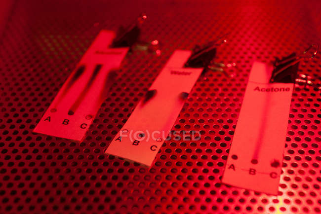 Primer plano de las tiras de ensayo químicas iluminadas por la luz roja - foto de stock
