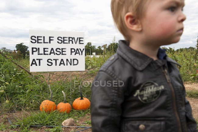 Little boy with advertising of pumpkins on the background — Stock Photo