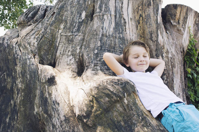 Menino encostado ao tronco de árvore grande — Fotografia de Stock