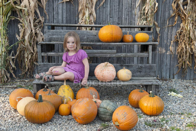 Girl sitting with a large assortment of pumpkins — Stock Photo