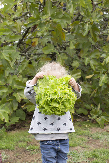 Дівчина тримає голову салату, прикриваючи обличчя — стокове фото