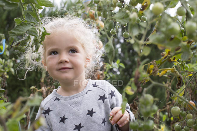 Portrait of Little girl in vegetable garden — Stock Photo