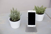 Smartphone und Topfpflanzen — Stockfoto