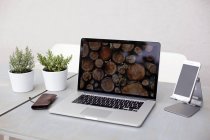 Ordenador portátil y plantas en macetas en el escritorio - foto de stock