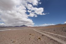 Paisaje con vista al desierto boliviano en día soleado, montañas de fondo, Argentina - foto de stock