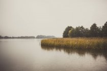 Paisaje con lago y bosque - foto de stock